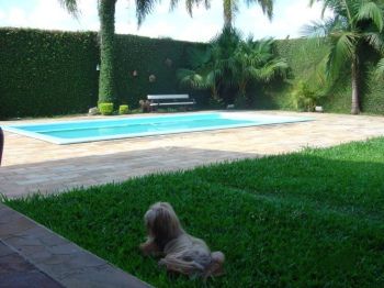 Casa 4 dormitórios Jardim América Cruz Alta - RS
