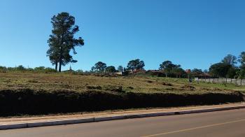 TERRENO EM CRUZ ALTA